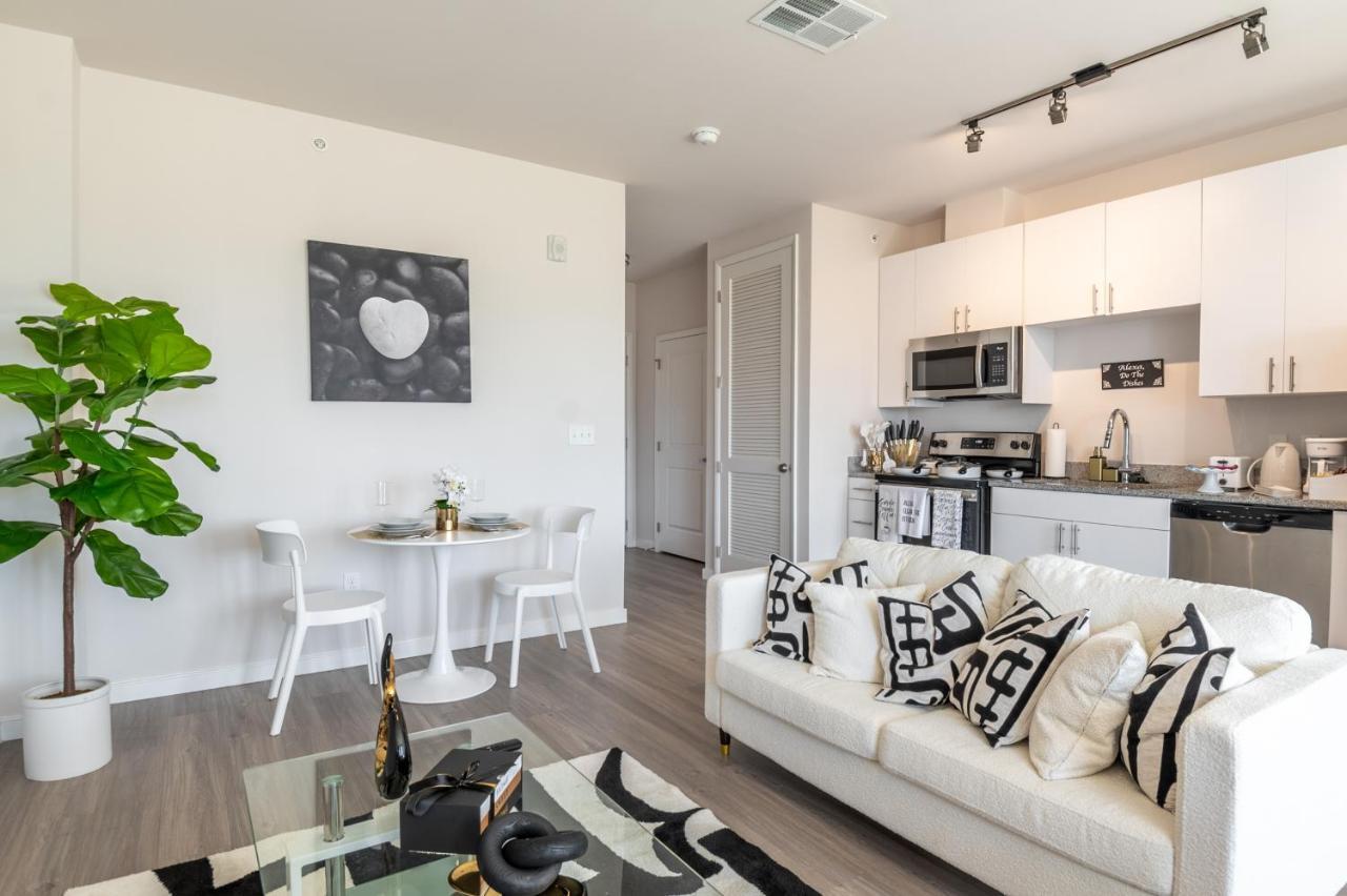 Luxury Penthouse Studio With View